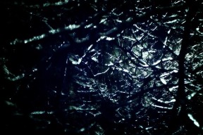 世界体能挑战赛：专项化测评促进跨项交流，世界体能比赛